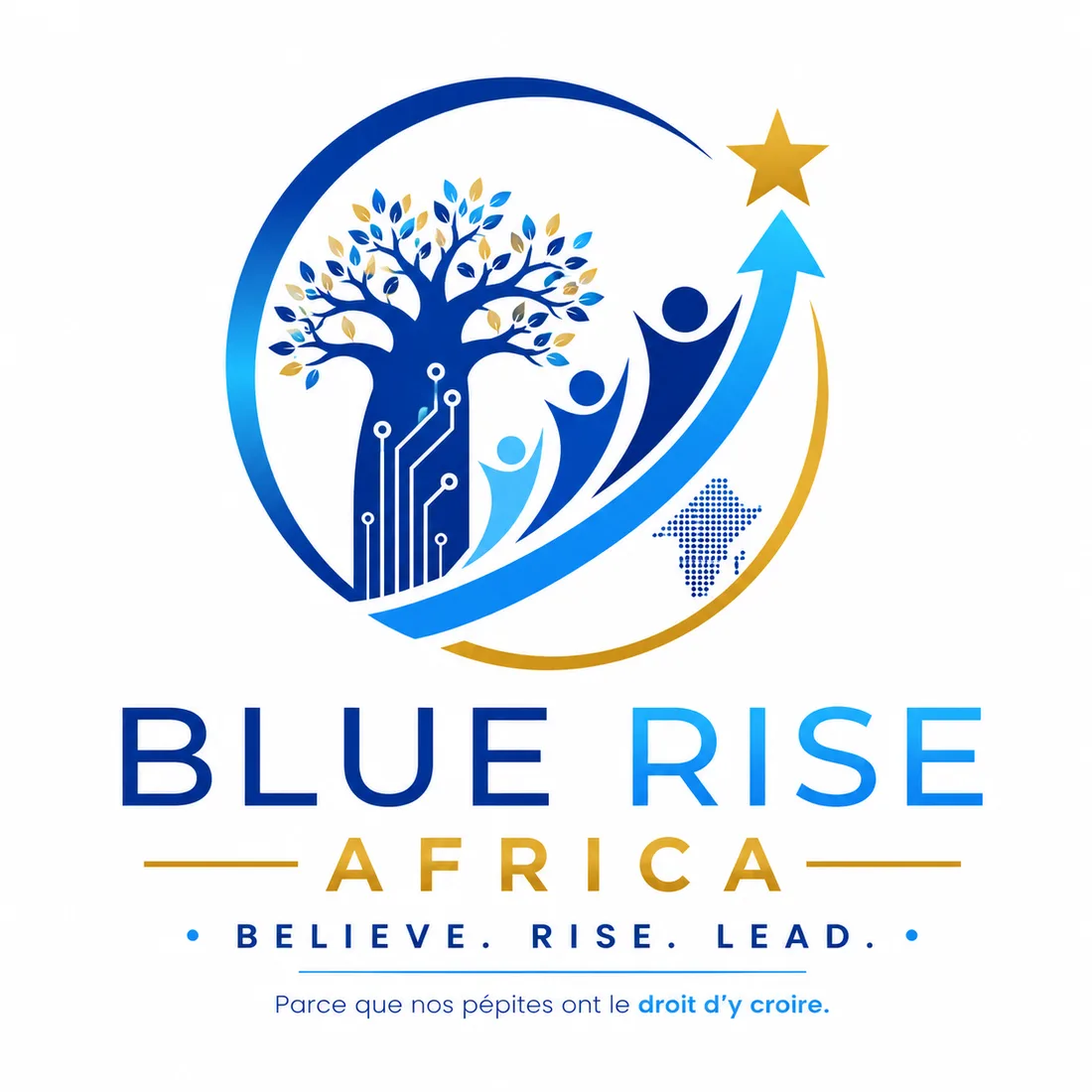 Logo Blue Rise Africa